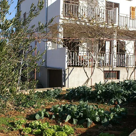 Apartman Studio 4303a Biograd na Moru